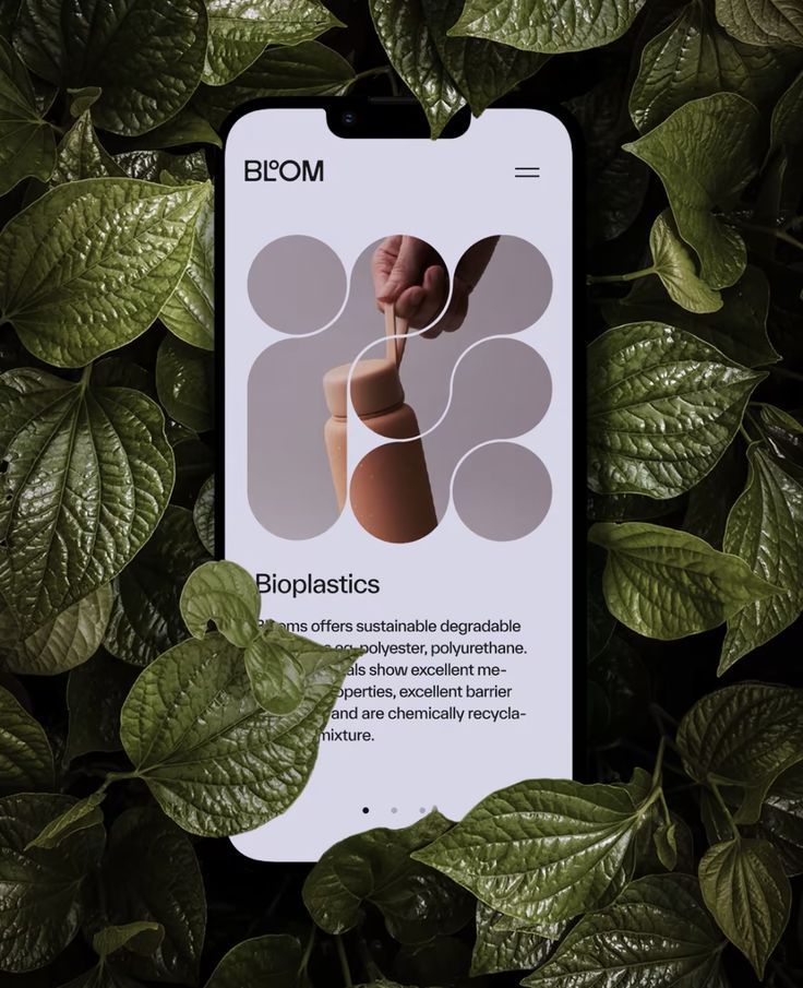 Creative Digital  Brochure Designs